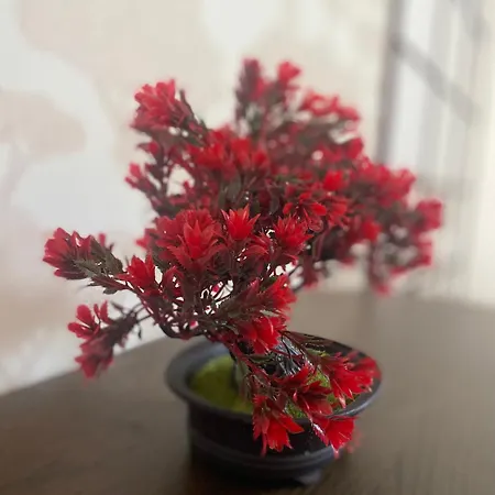 Appartement Capstay Point Ch3 - Netflix