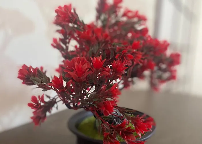 Apartamento Capstay Point Ch3 - Netflix